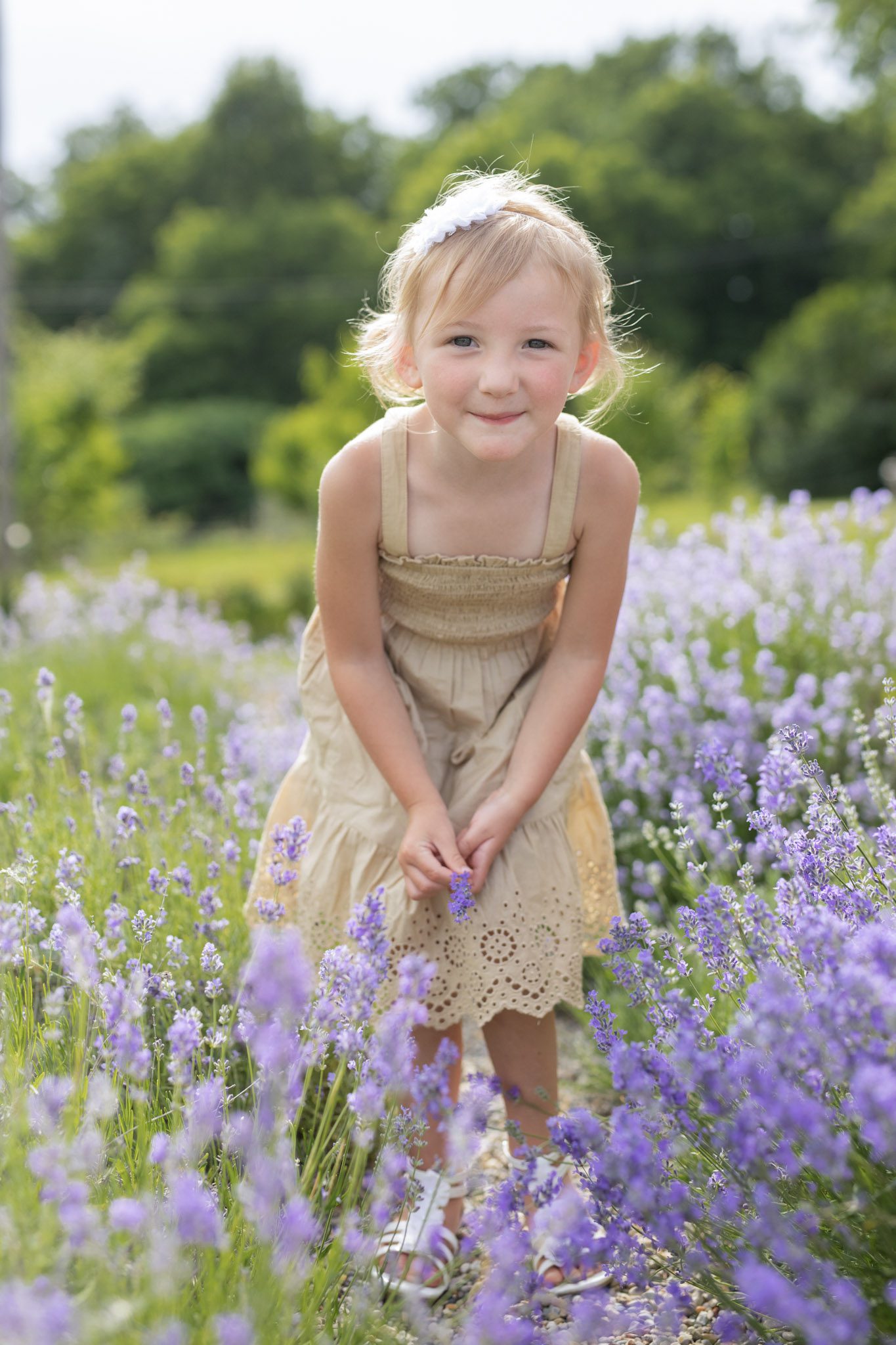 Ann Arbor Summer Family Photo Sessions